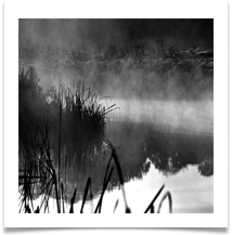 Dunham 6 - Misty River Bollin - Chris Beesley